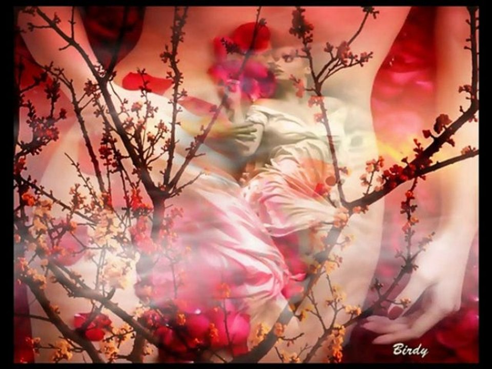 l'univers de Birdy.wmv