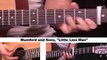 How to Play Little Lion Man by Mumford and Sons on Guitar