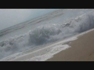 Très Belle Année 2011 !