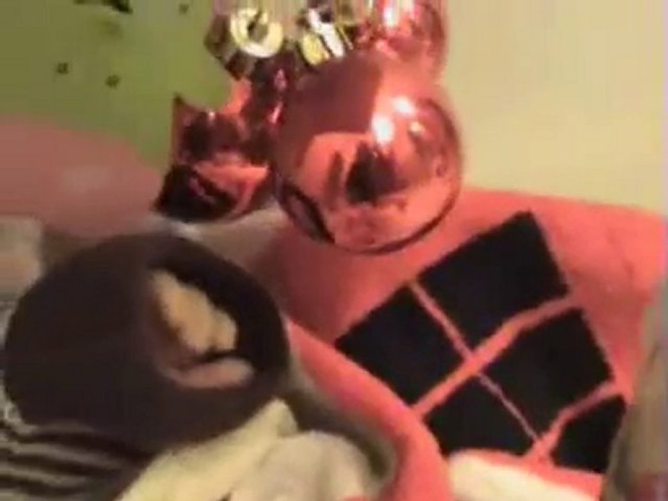 201002 JO AU CHANGE, ELLIOTT TWISTE 2 ET MAMAN TORTUE 2