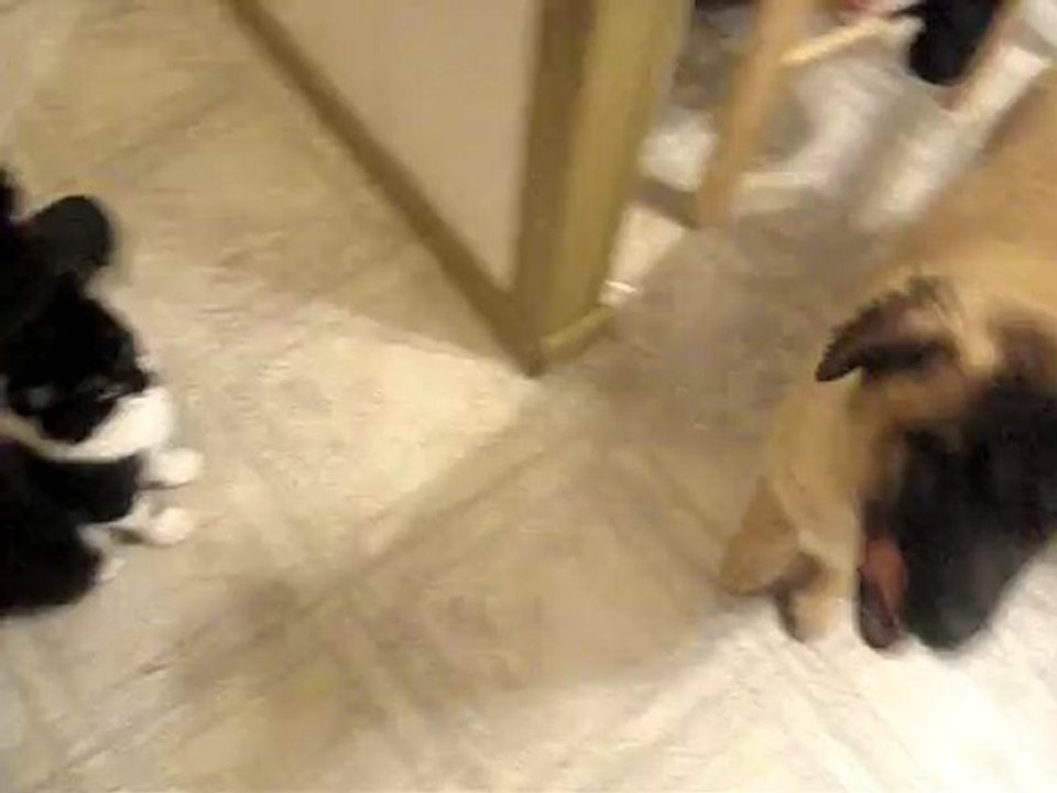 Molly1