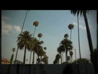 The Blueprint Project Black Edition Exposed