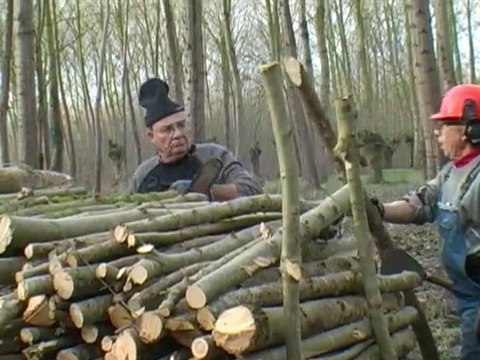 Marais Poitevin , Arçais :Il était une fois au marais du frêne .