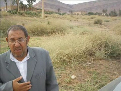 eddis ouled sidi brahime