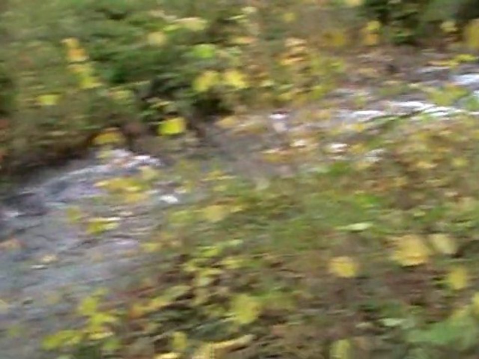 la maison de mes rêves