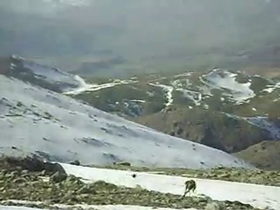 MOV01741 ceyk