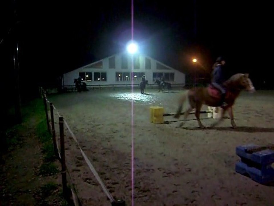 Reprise du 30.12.10, Detente au trot.