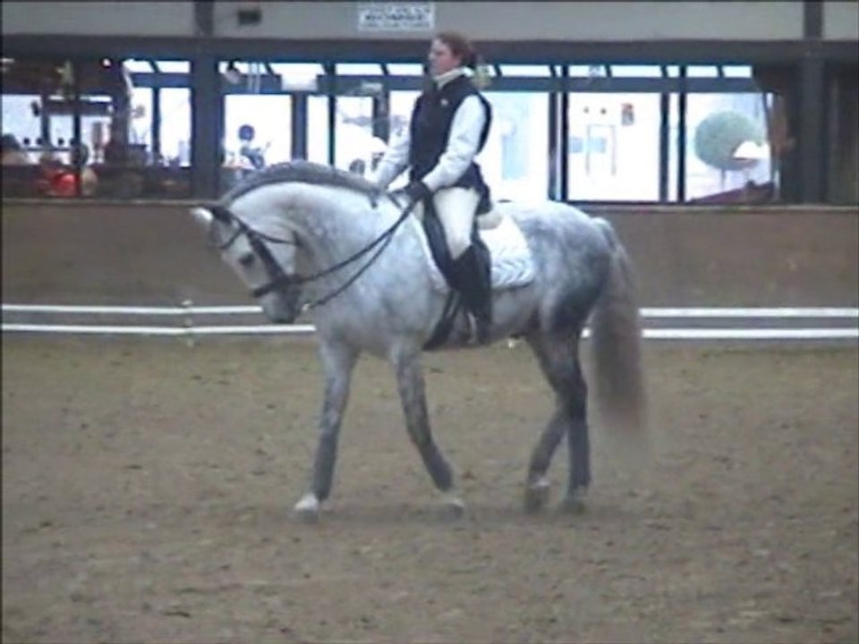 Elevage Acamel PRE - 2005-12-18 entrainement boubou MCIB