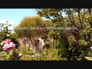 Très Belle Année 2011      _v2