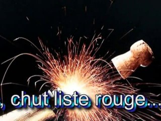Souhaits 2011 arlette et JJ