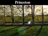 Tree Trimming-Pruning Service | Princeton-Hopewell-Skillman