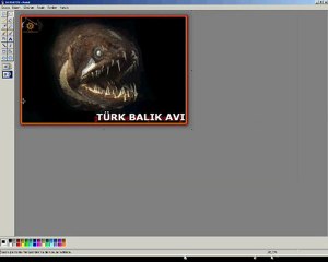 Turk Balık Avı Paylaşım