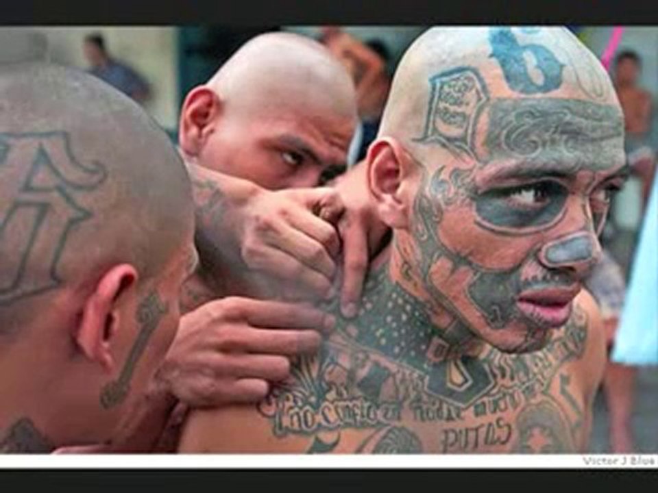 ms13
