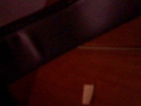 vive le vent d'hiver!