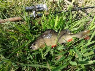 Mon film saison de peche 2010 (2)