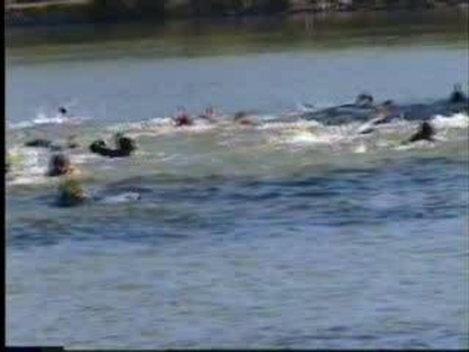 Palmes a contrexeville