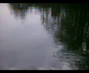 carpe prise en ultra light par Mr CRAZY