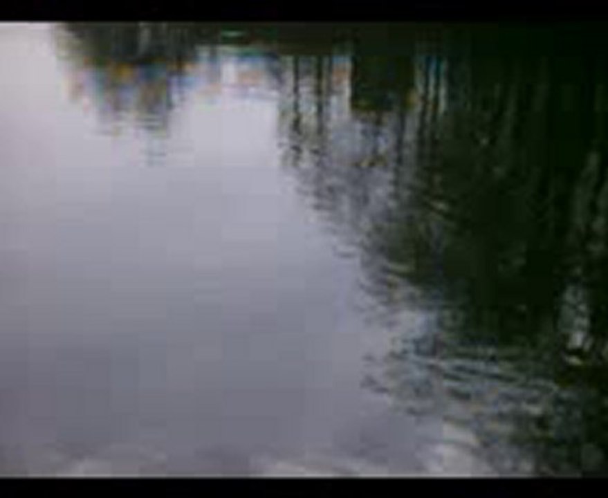 carpe prise en ultra light par Mr CRAZY