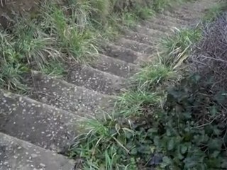 Une bonne année 2011