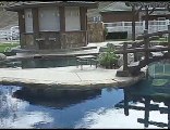 North San Diego Swimming Pool Builder|Swimming Pool San Die