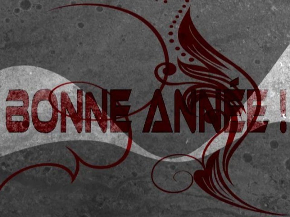 Vidéo Bonne Année !!