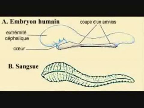 Abbepages l'islamophobe démasqué encore une fois !!!!