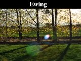 Tree Removal-Trimming Service |Trenton, Ewing, Lambertville