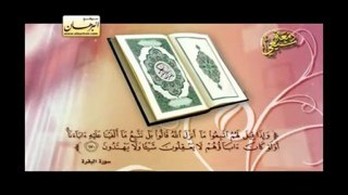 دمعة شيعي - 1-5 مؤثر جدا