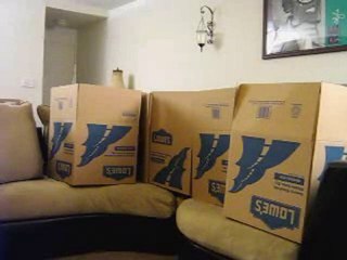 How to Keep Pets off of the Upholstery