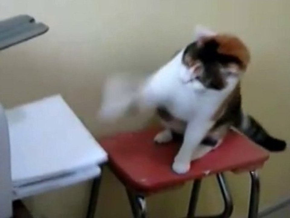 RONRON - Film promo General Bye Bye