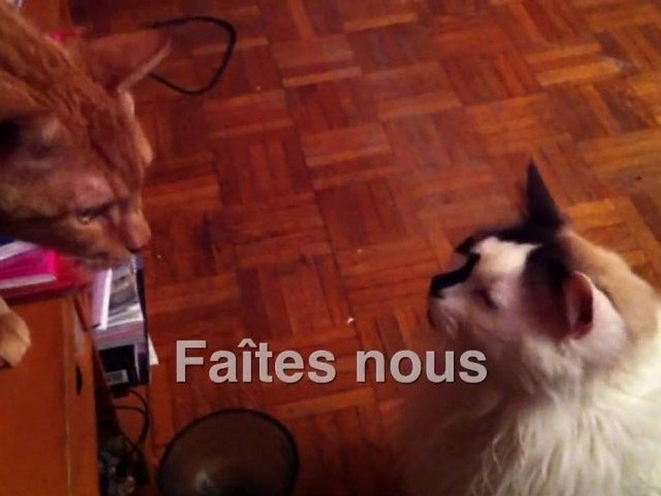 RONRON - Des bisous