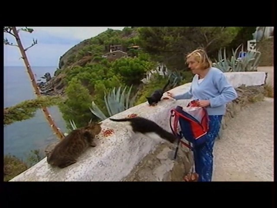 Les chats de Cadaquès