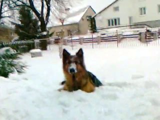 Atena w śniegu