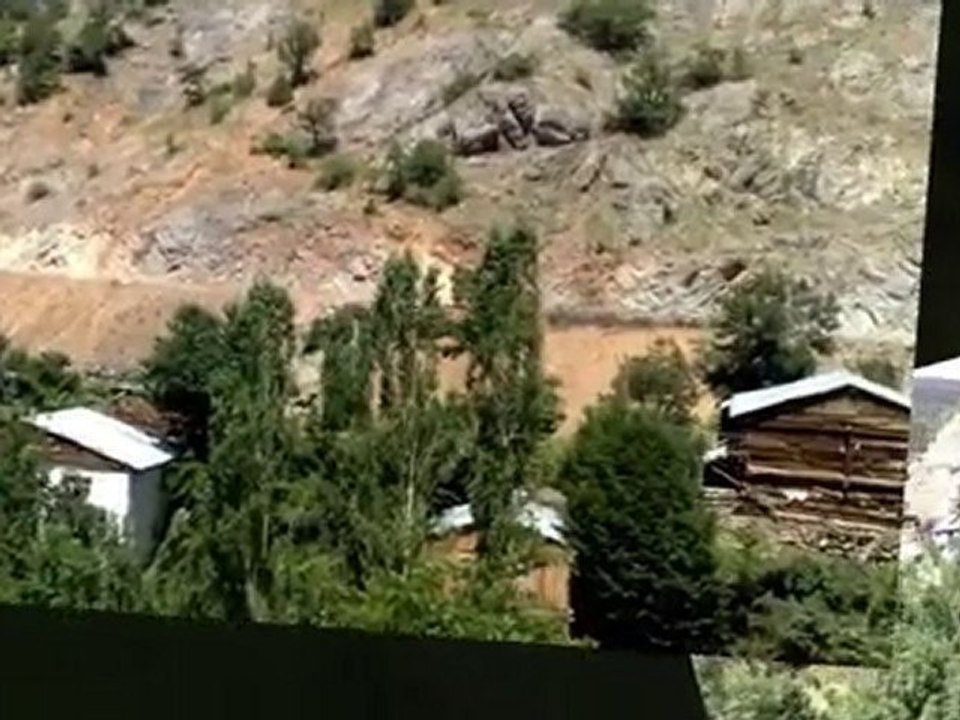 aaa