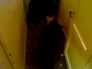 paşa woodoo yemek saati