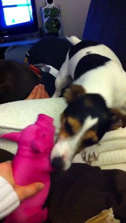 Doliprane et son cochon !