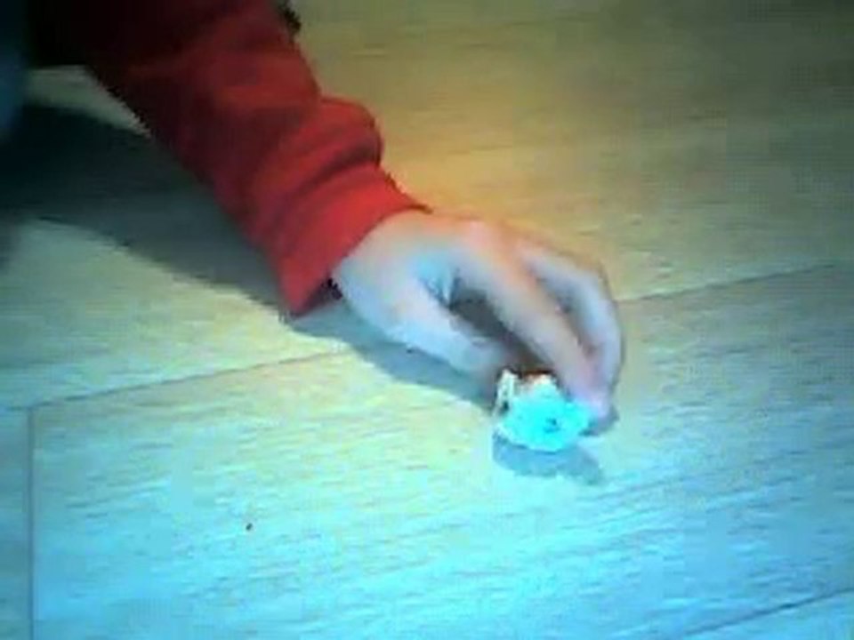 ma premier video petshop