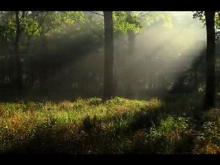 Farid Farjad - Robabeh Jan - Four Seasons Melancoly