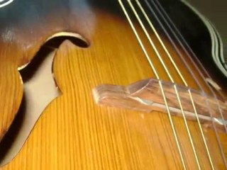 Vintage Harmony acoustic guitar 1960s