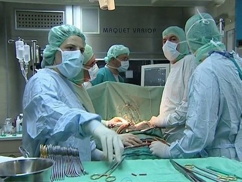 PRO BG Трансплантации, проблеми - 21.05.2009 г.