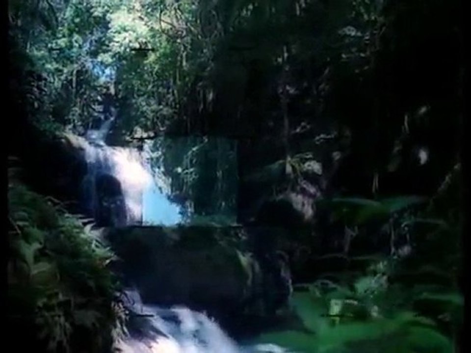 Takako Uehara - My First Love