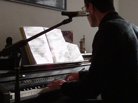 Francis Cabrel-Samedi soir sur la terre