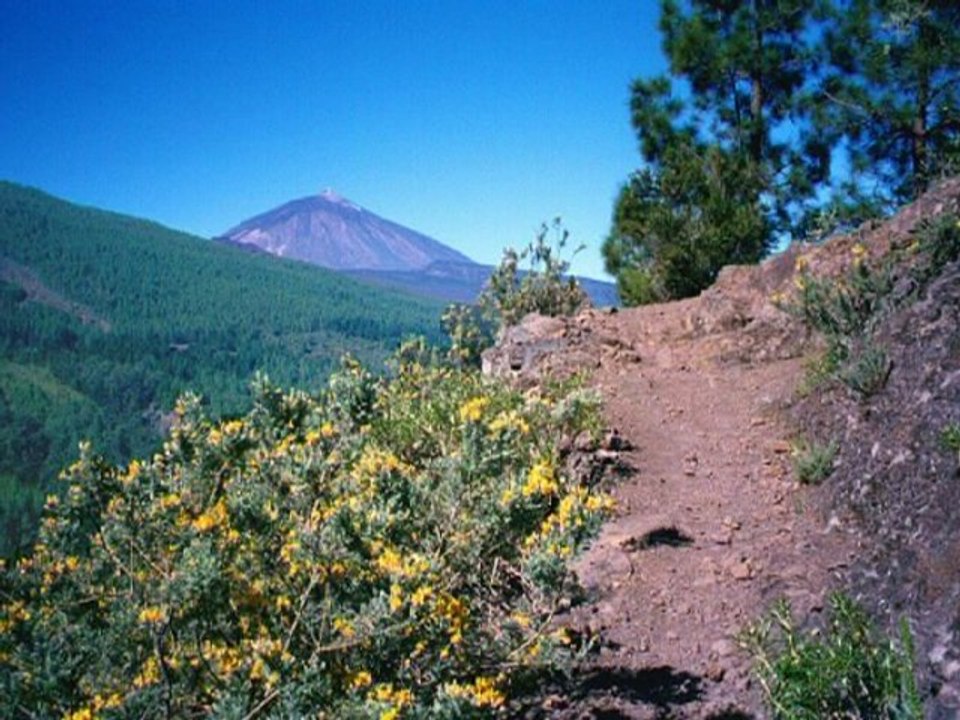 Great Tenerife, Canary Islands, Spain