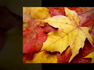 Small Business Online Advertising,Marketing