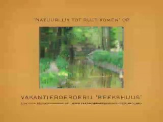 8 persoons vakantiehuis midden in de natuurrijke Achterhoek