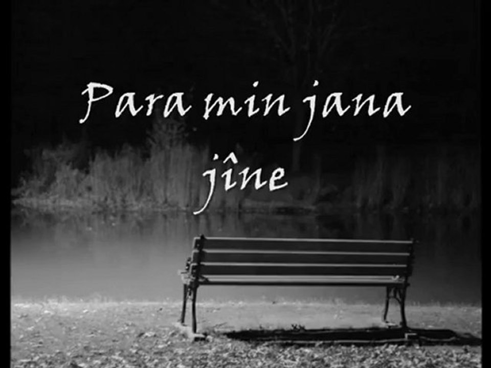 Hozan Dino - şev tari ( Albuma nû 2010 )