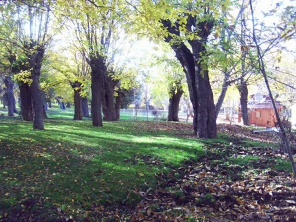 Elazığ hal köyü 19