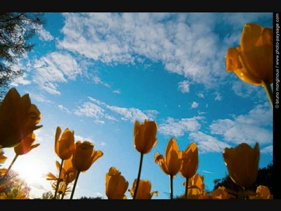 جفا الاصحاب يقتلني  beau nashid a écouter ....