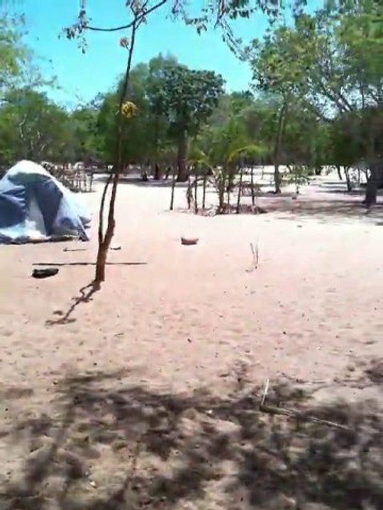 Lémuriens à Madagascar