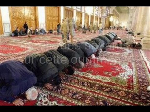 Sont ils égaux ceux qui savent et ceux qui ne savent pas